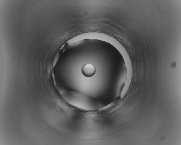 X0000091960574200709201346