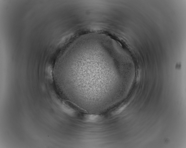 X0000091960575200709201346