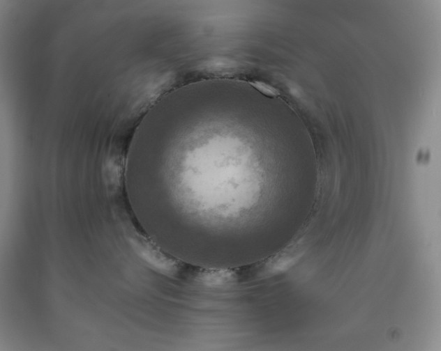 X0000091960576200709201346