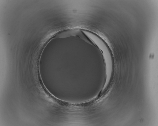 X0000091960577200709201345