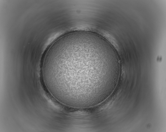 X0000091960578200709201345