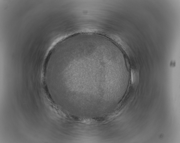 X0000091960579200709201345