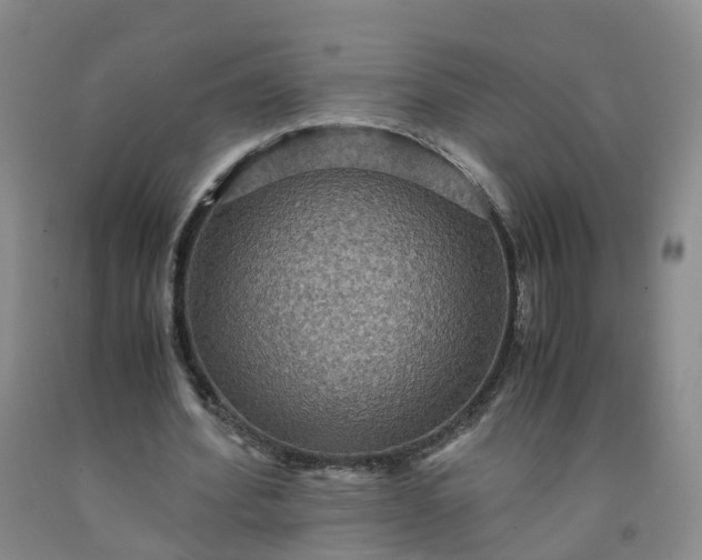 X0000091960580200709201345