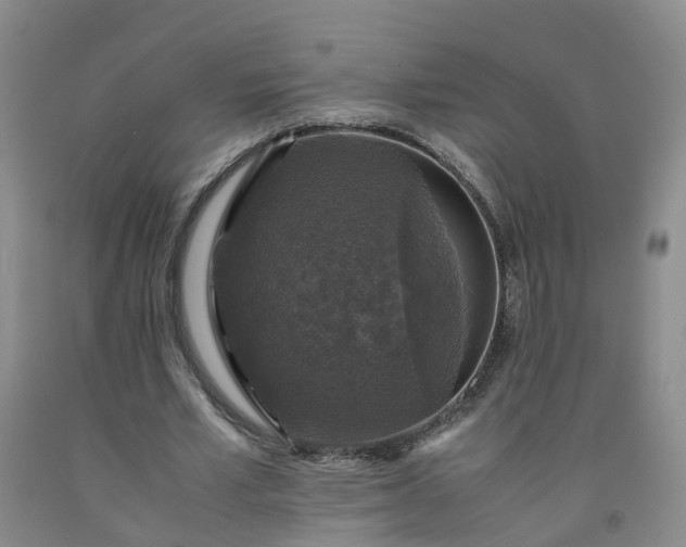 X0000091960581200709201345