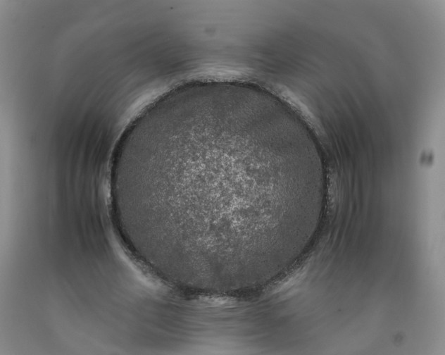 X0000091960582200709201345