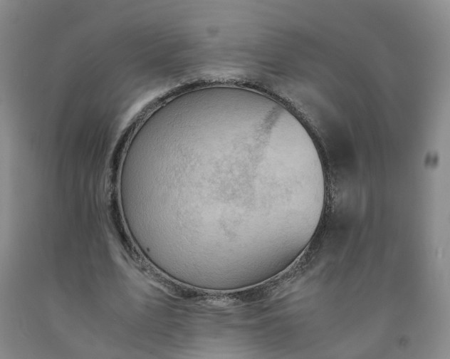 X0000091960583200709201345