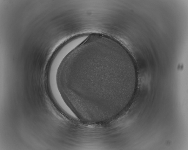 X0000091960584200709201345