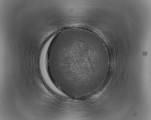 X0000091960585200709201345