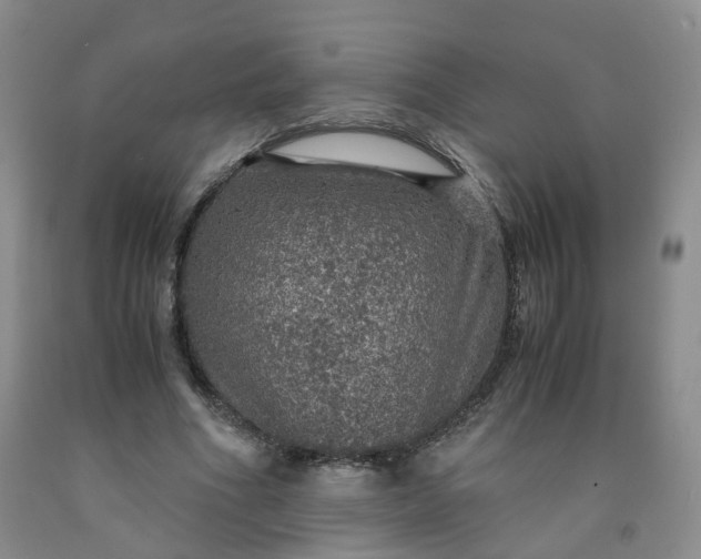 X0000091960586200709201345