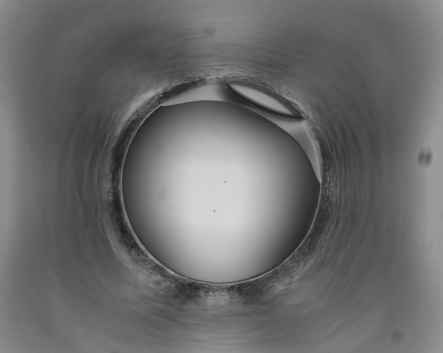 X0000091960587200709201345