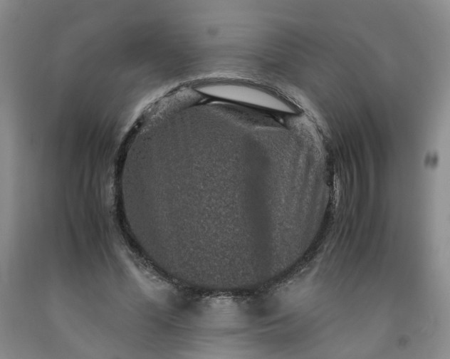 X0000091960588200709201345