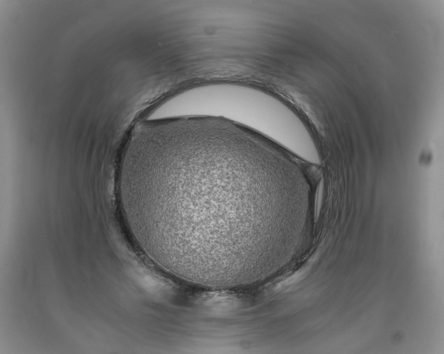 X0000091960589200709201345