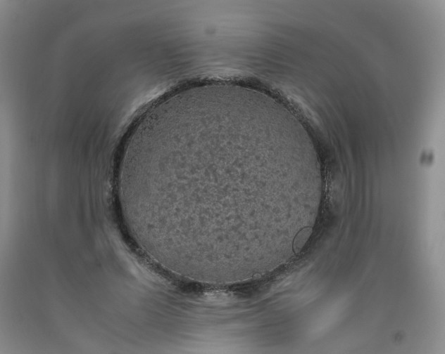 X0000091960591200709201345