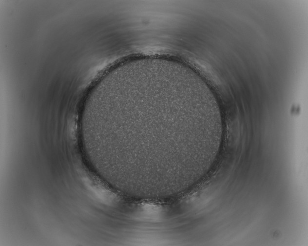 X0000091960592200709201345