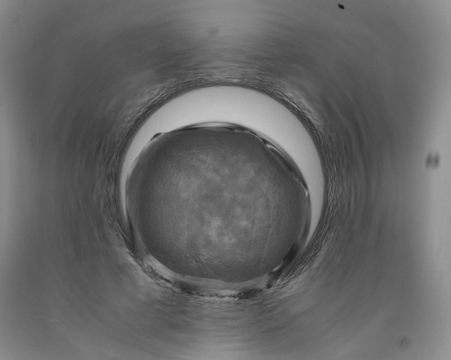 X0000091960593200709201345