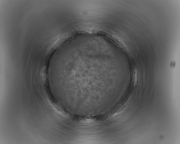 X0000091960594200709201345