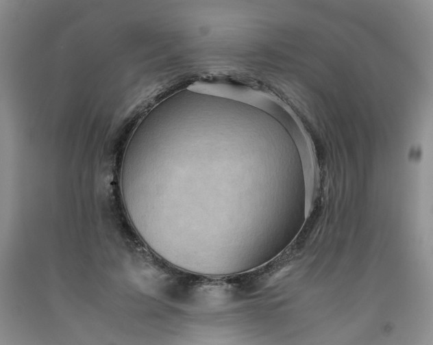 X0000091960595200709201345