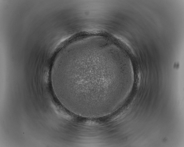 X0000091960596200709201345