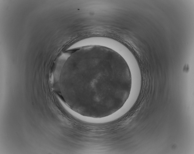 X0000091960597200709201345