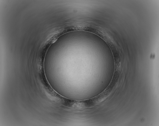 X0000091960599200709201345