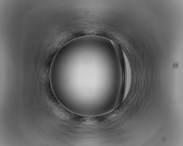 X0000091960601200709201345