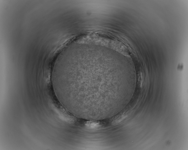 X0000091960602200709201345