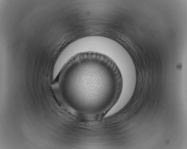 X0000091960604200709201345