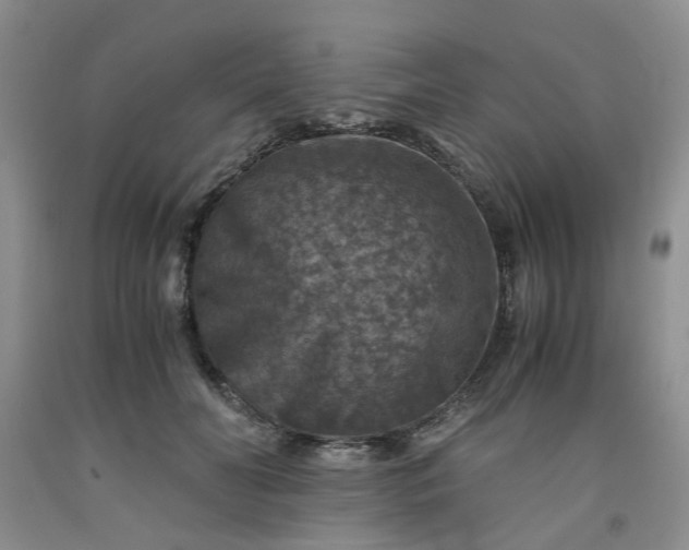 X0000091960606200709201345