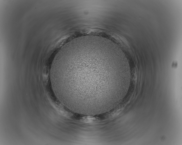 X0000091960607200709201345