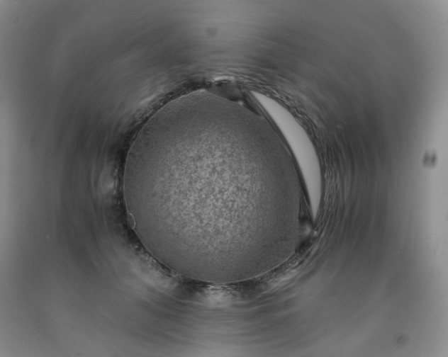 X0000091960608200709201345