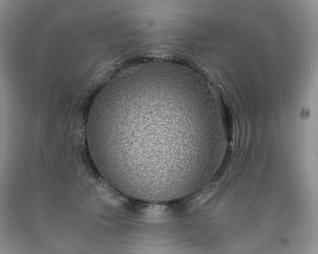 X0000091960609200709201345