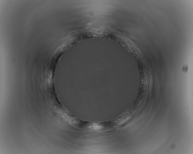 X0000091960610200709201345