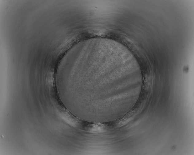 X0000091960612200709201345