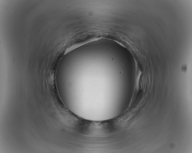 X0000091960613200709201345