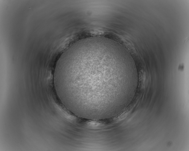 X0000091960614200709201345