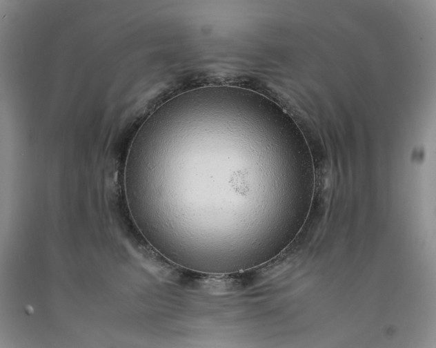 X0000091960615200709201345