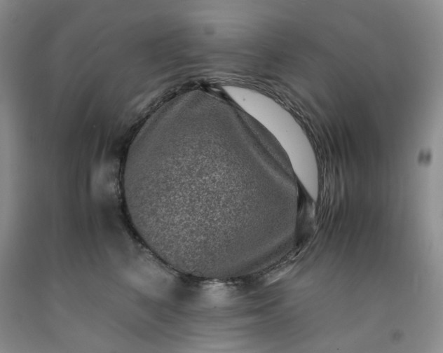 X0000091960616200709201345