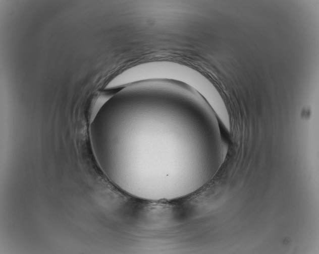 X0000091960617200709201345