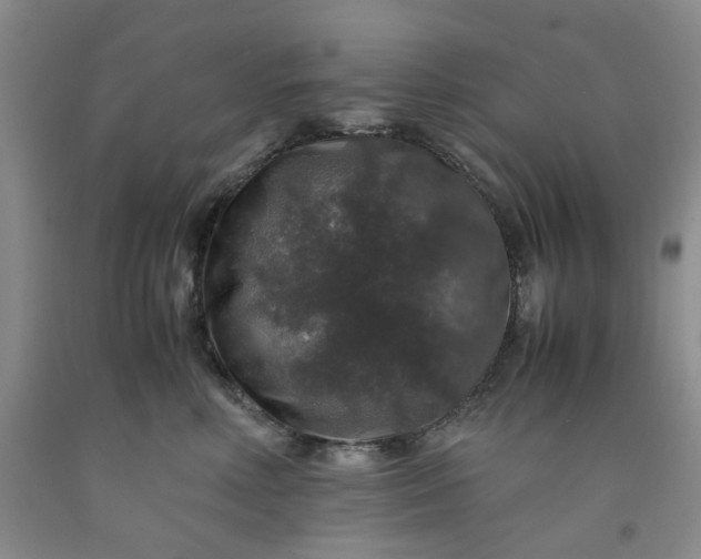 X0000091960618200709201345