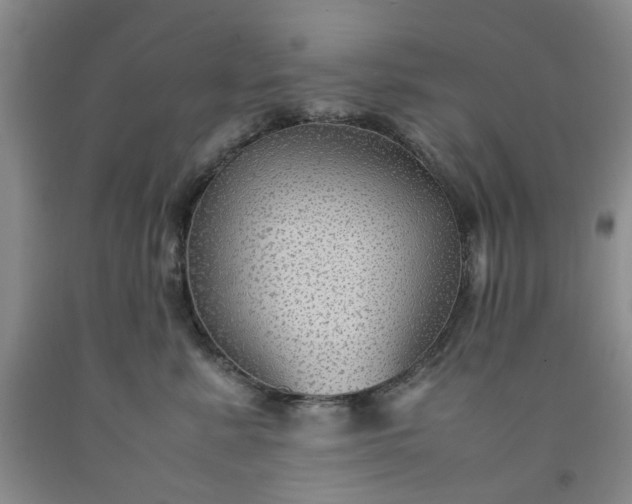 X0000091960619200709201345