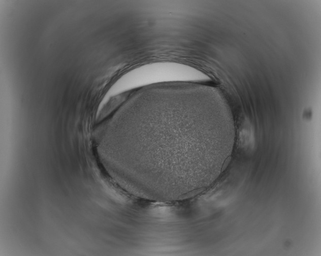 X0000091960620200709201345