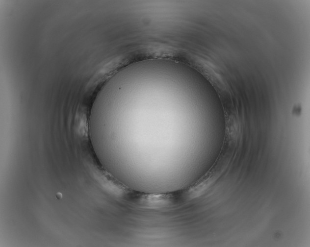 X0000091960622200709201345