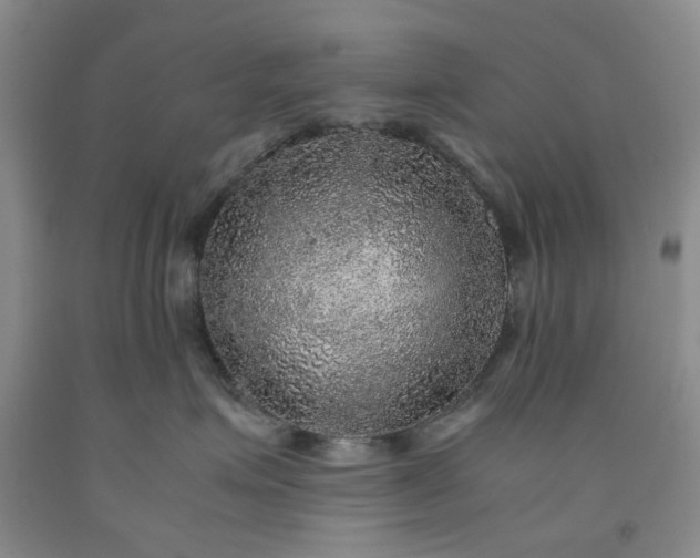 X0000091960623200709201345