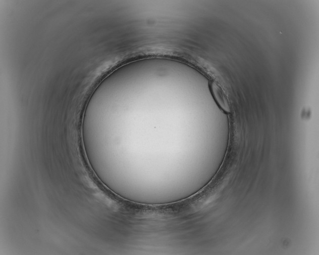 X0000091960625200709201344