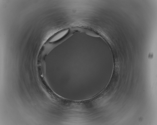 X0000091960626200709201344