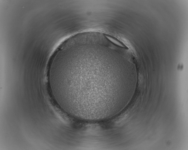 X0000091960628200709201344