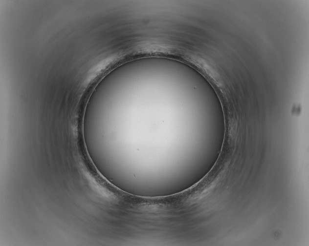 X0000091960629200709201344