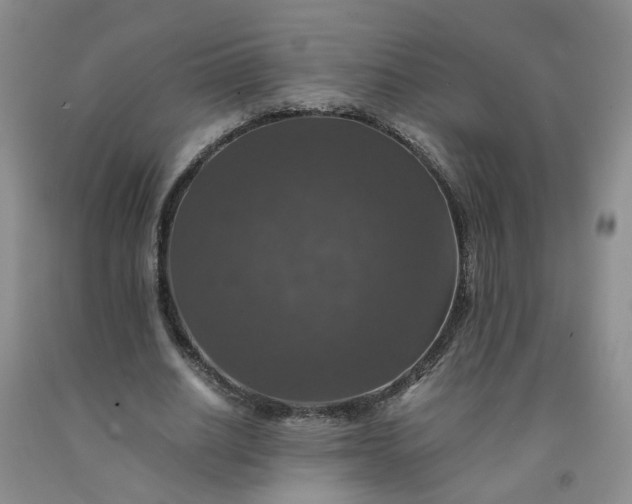 X0000091960630200709201344