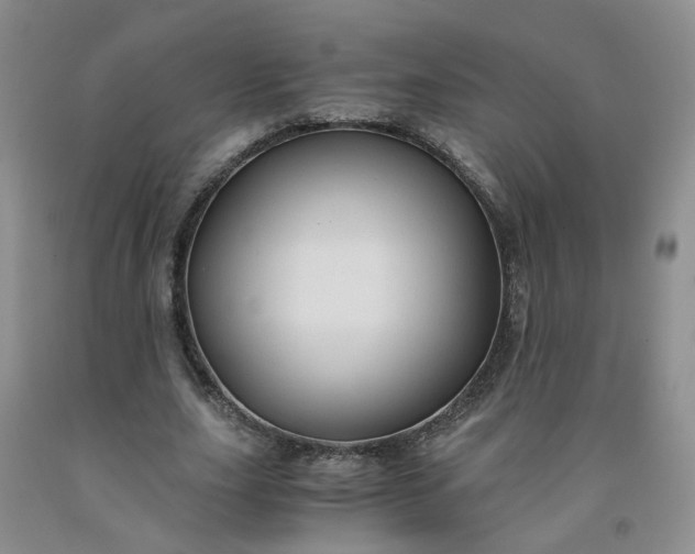 X0000091960631200709201344