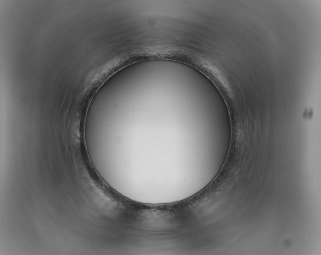 X0000091960633200709201344